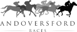 logo-11